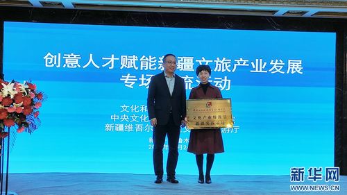 千帆競發(fā) 創(chuàng)意人才賦能新疆文旅產(chǎn)業(yè)發(fā)展專場交流活動(dòng)在烏魯木齊舉辦